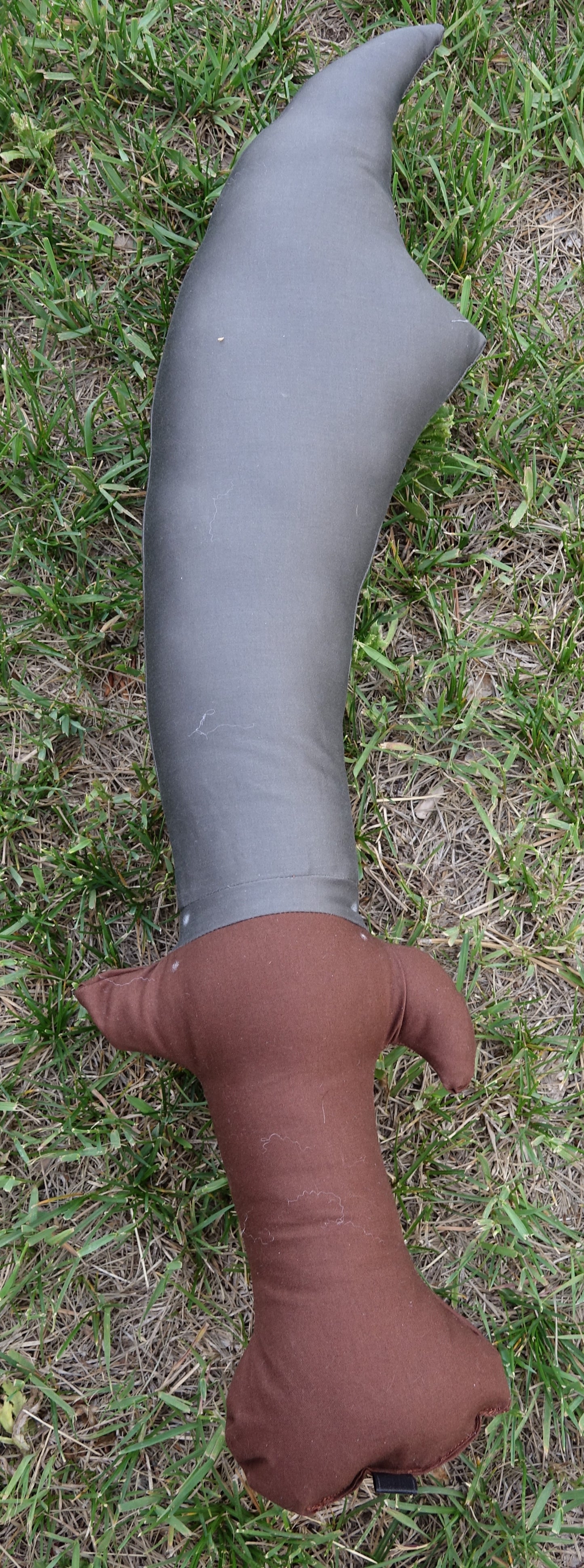 Prototypes